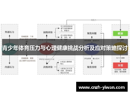 青少年体育压力与心理健康挑战分析及应对策略探讨