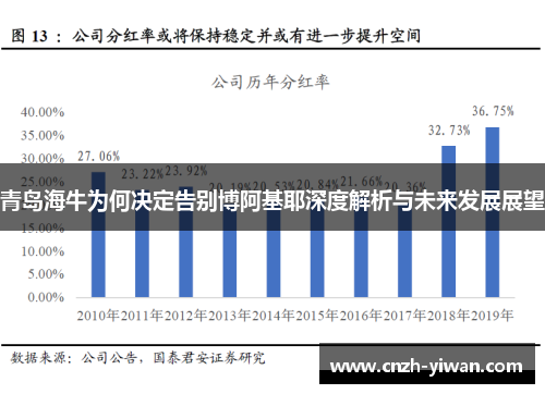 青岛海牛为何决定告别博阿基耶深度解析与未来发展展望